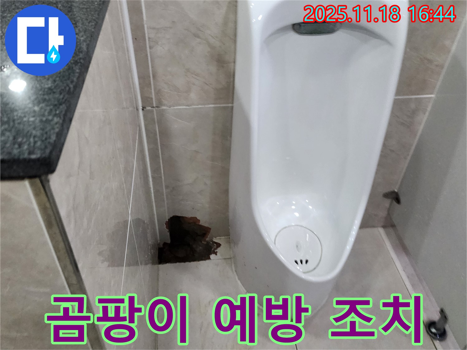 소학리 소변기 누수 - 곰팡이 발생 전 빠른 조치가 중요