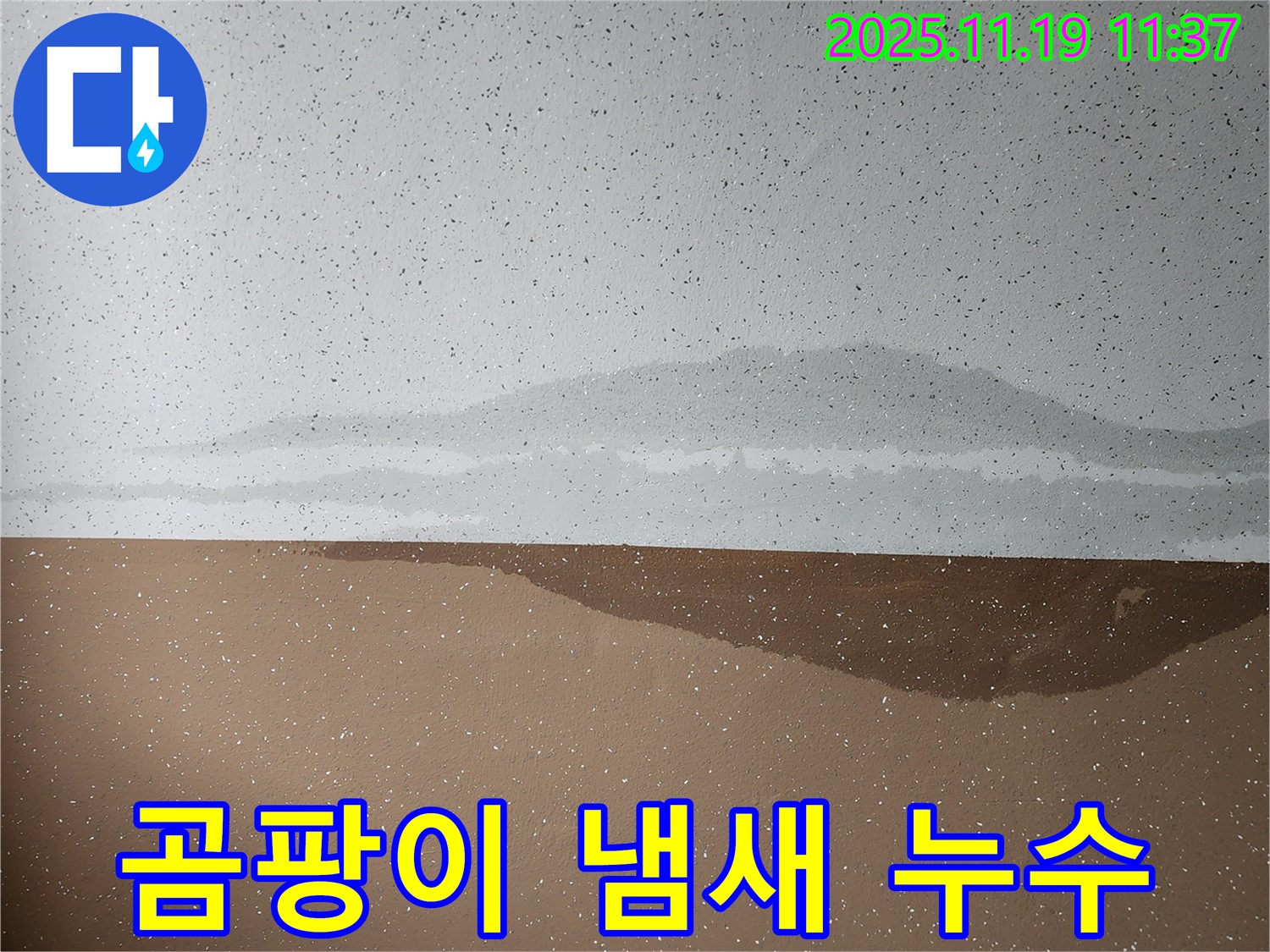 곰팡이 냄새 - 천장 누수 의심 - 건강 적신호