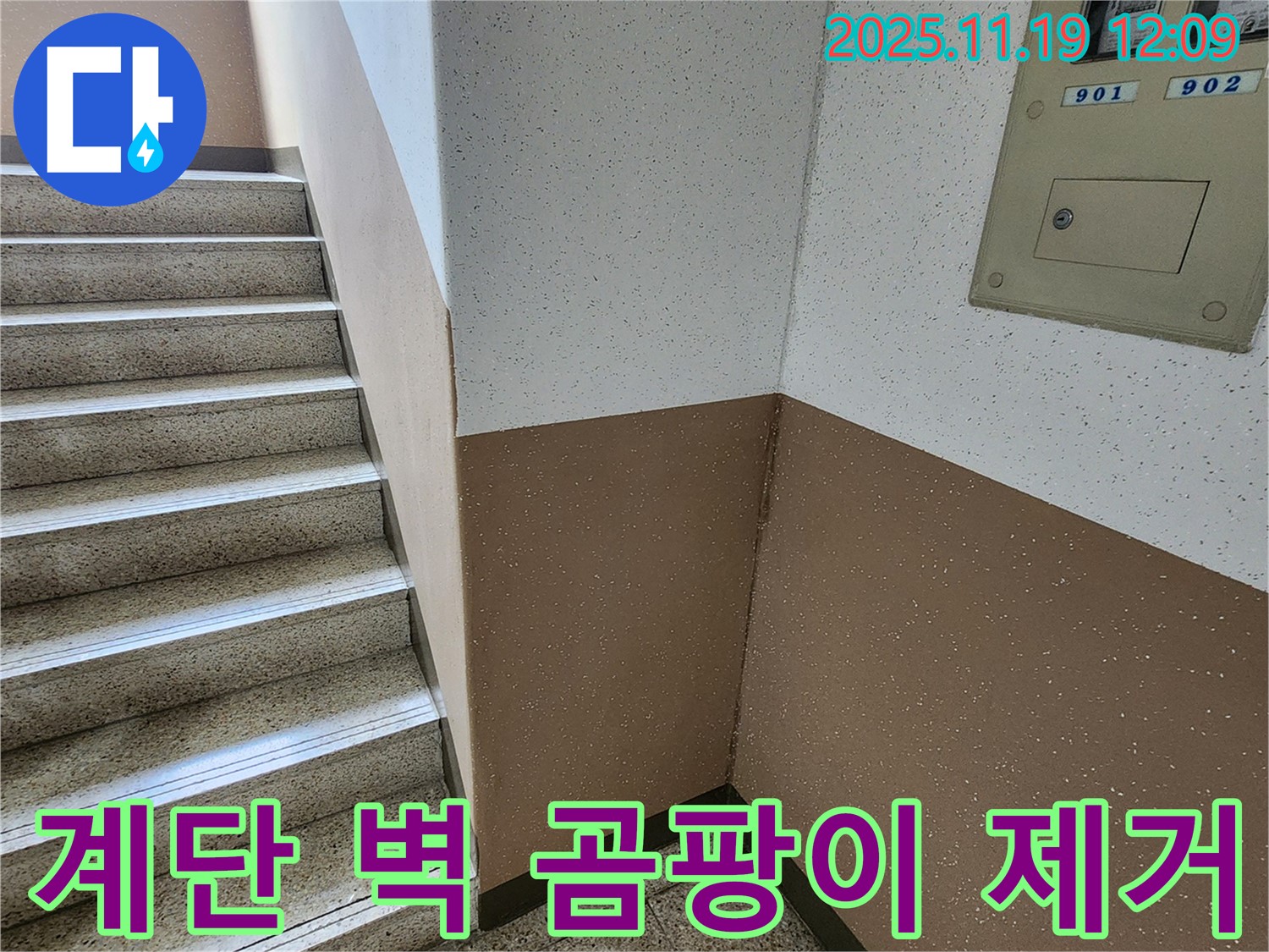 내촌면 마명리 아파트 계단 누수 - 벽 곰팡이, 곰팡이 냄새까지 완벽 제거