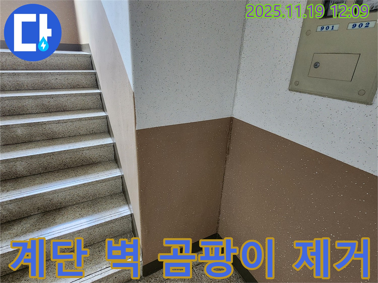 내촌면 마명리 아파트 계단 누수 - 벽 곰팡이, 곰팡이 냄새까지 완벽하게 제거!