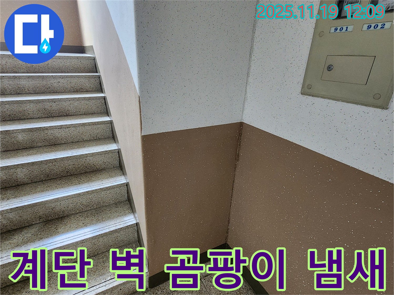 내촌면 마명리 아파트 누수 - 계단 벽 곰팡이, 곰팡이 냄새 제거 및 해결