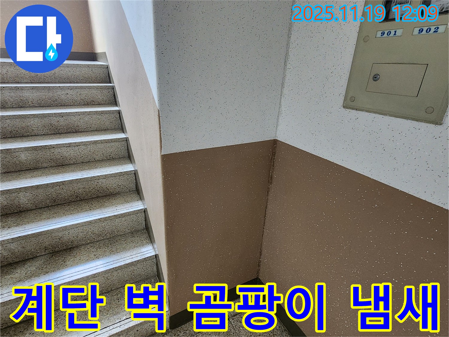 내촌면 마명리 아파트 누수 - 계단 벽 곰팡이 냄새 제거 및 누수 해결