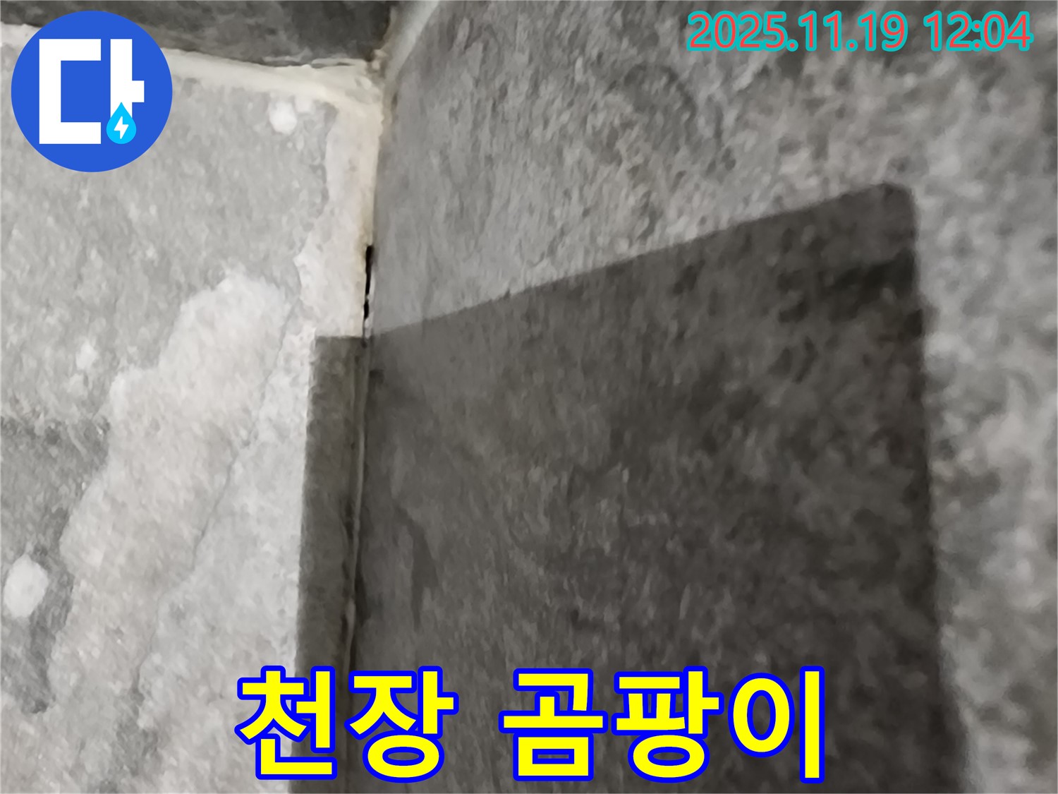 내촌면 욕실 - 천장 곰팡이 제거 - 친환경 약품