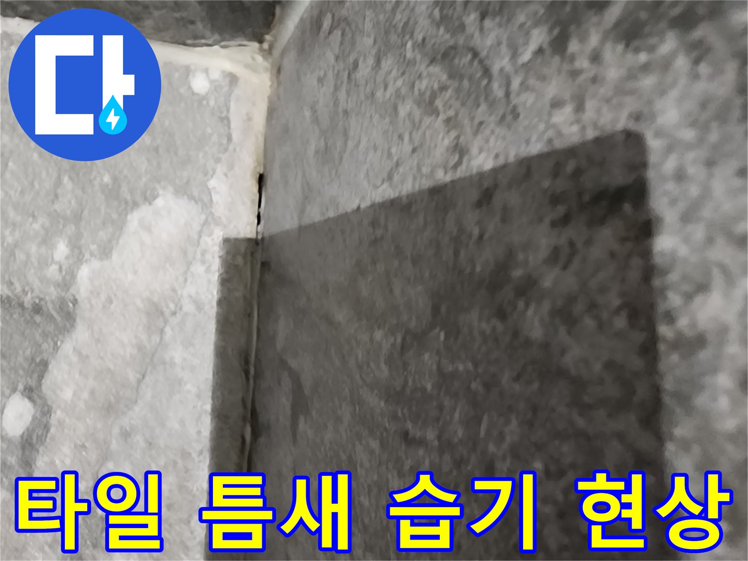 욕실 타일 경계-습기 침투 및 변색 부위