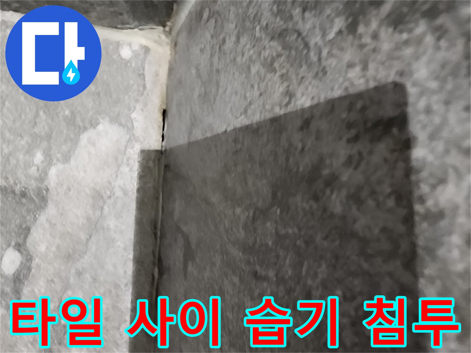 타일-경계-틈새-습기-침투-현상