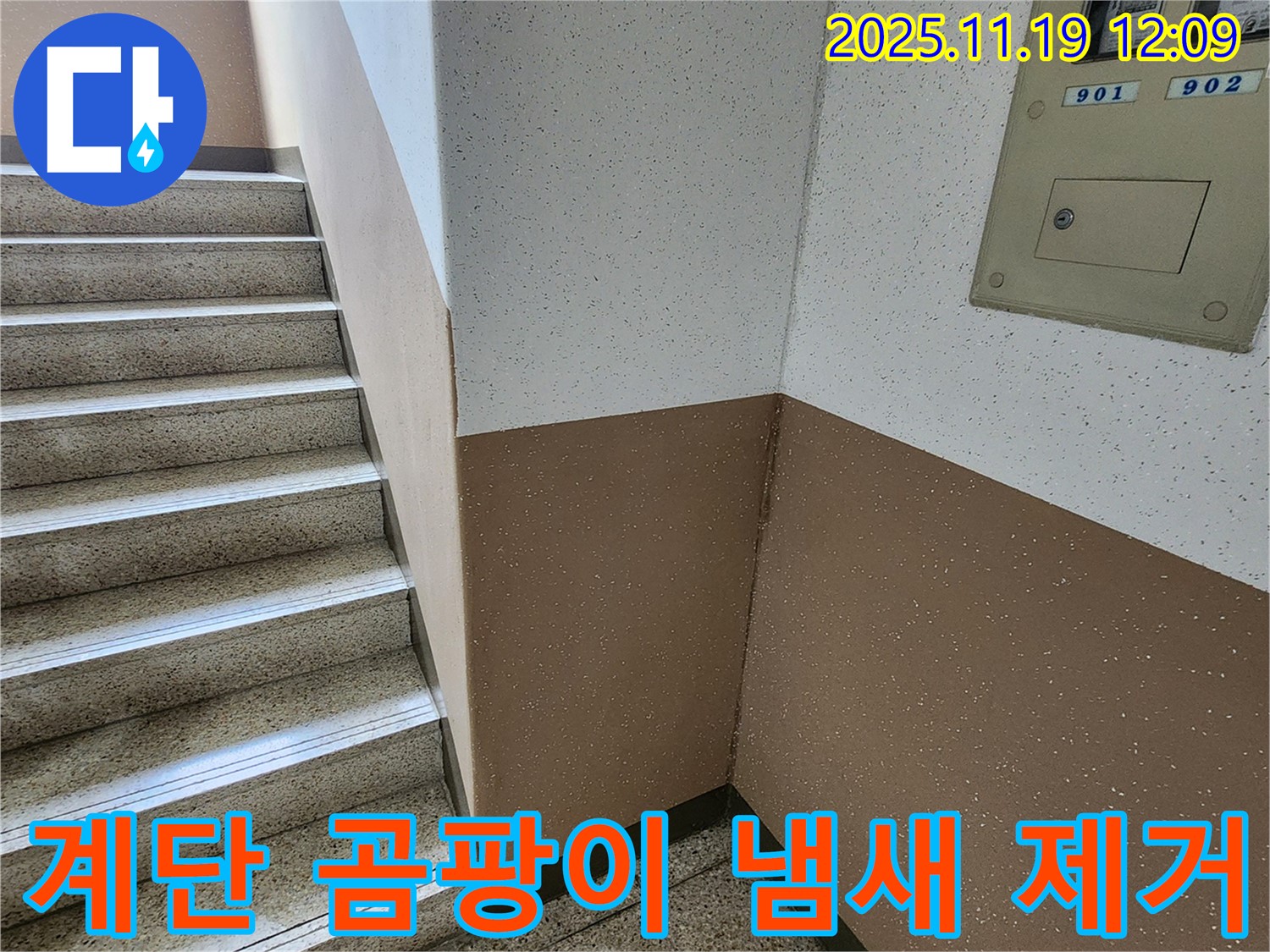 포천 아파트 누수 - 내촌면 마명리 계단 벽 곰팡이, 냄새까지 완벽 제거!