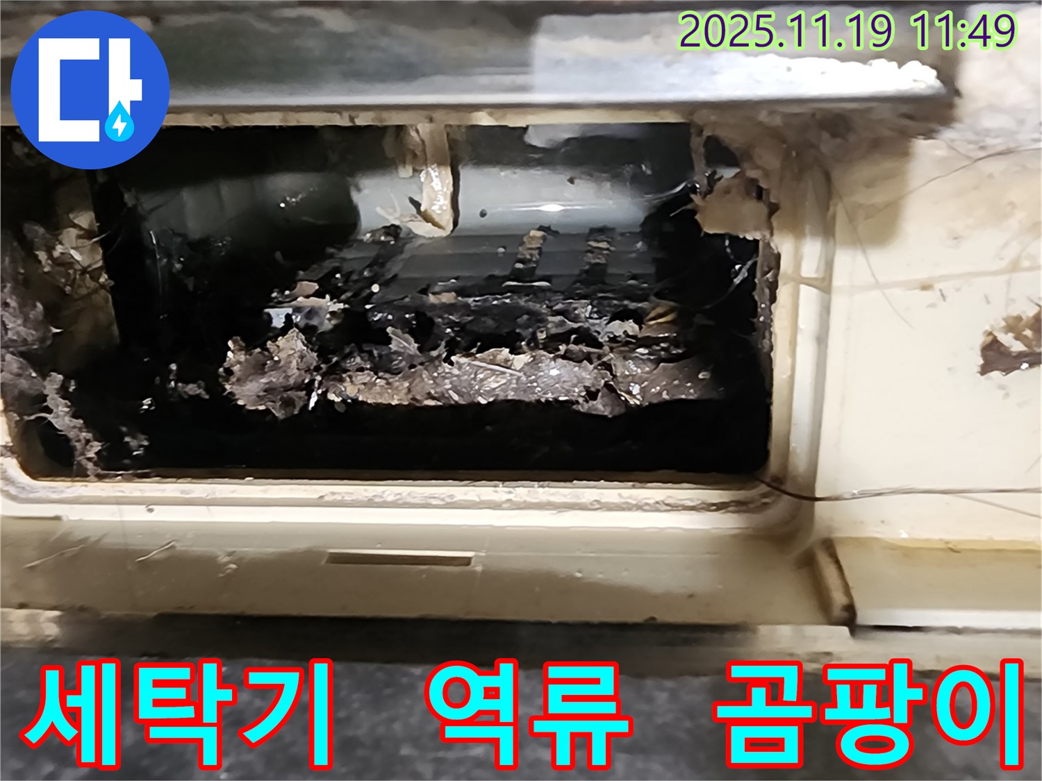 포천시 마명리 세탁기 배수구 역류 - 곰팡이와 악취?!