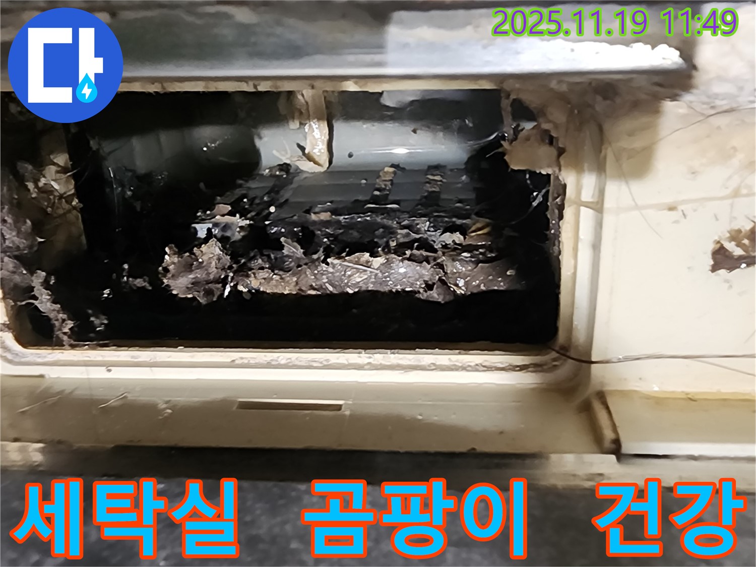 포천시 마명리 세탁실 곰팡이 - 건강까지 위협?!