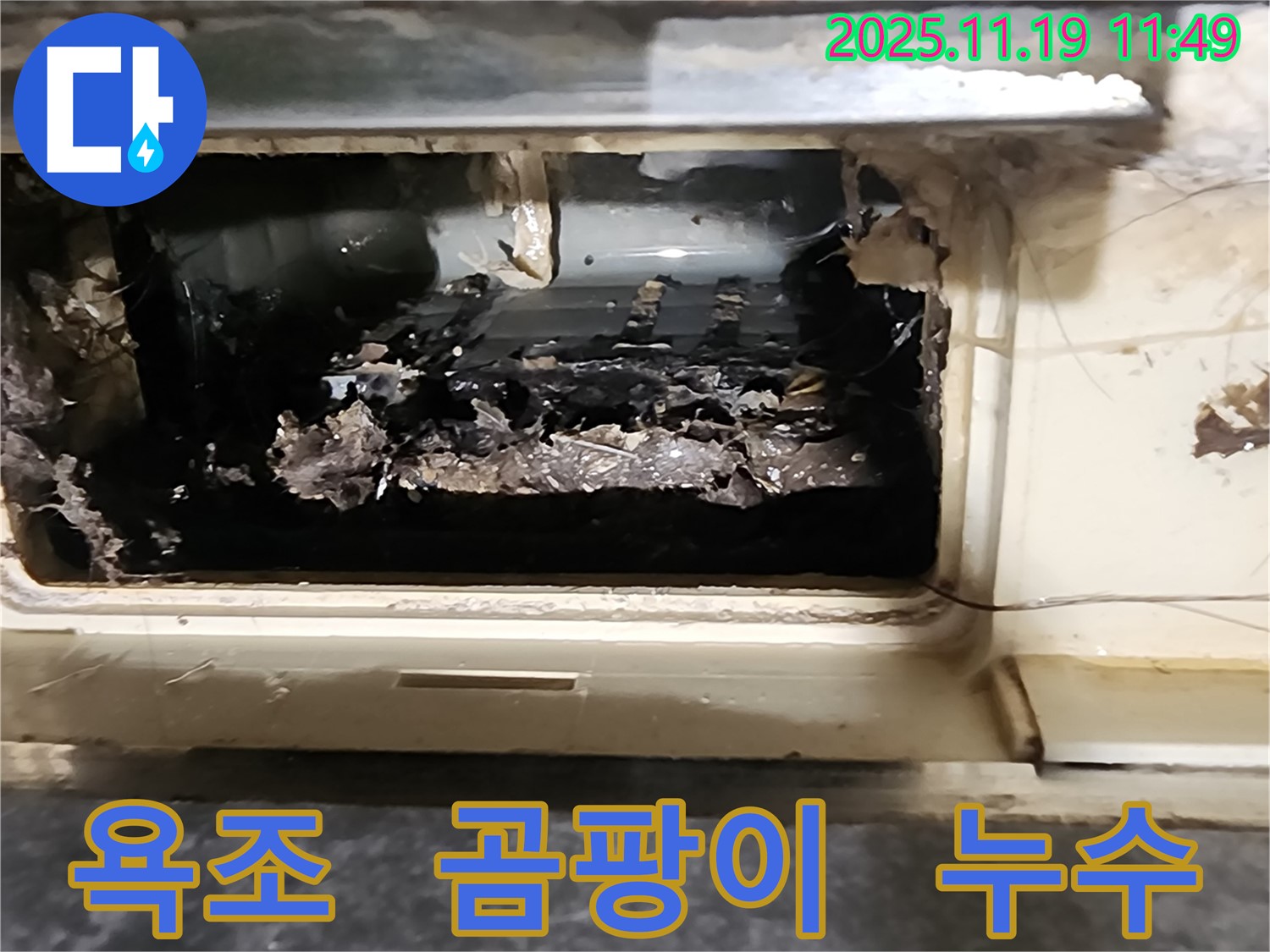포천시 마명리 욕조 곰팡이 - 누수 폭탄으로 변신?!