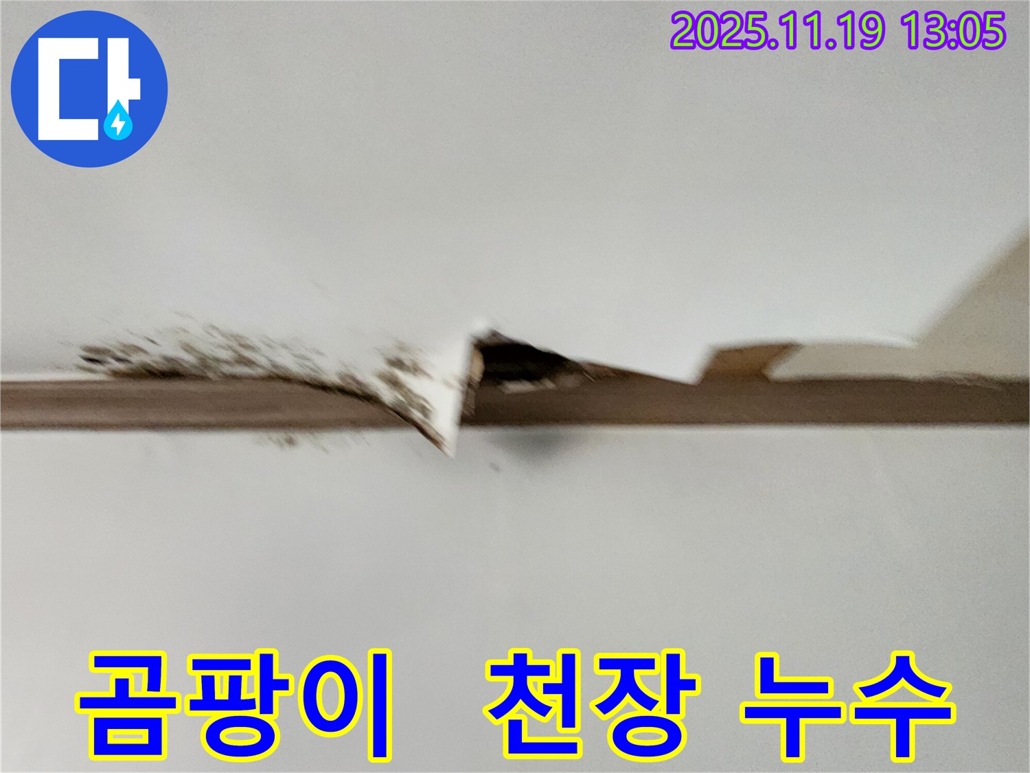 곰팡이 핀 천장 - 누수와 곰팡이의 연관성을 보여주는 사진입니다.