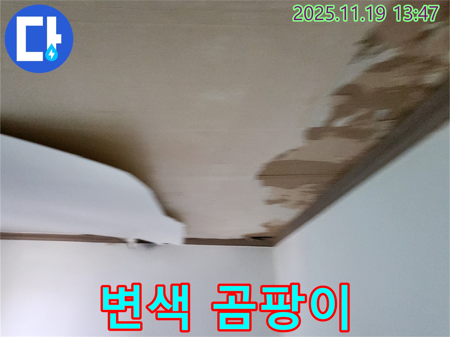 내촌면 음현리 천장 - 마감재 변색과 함께 곰팡이 발생