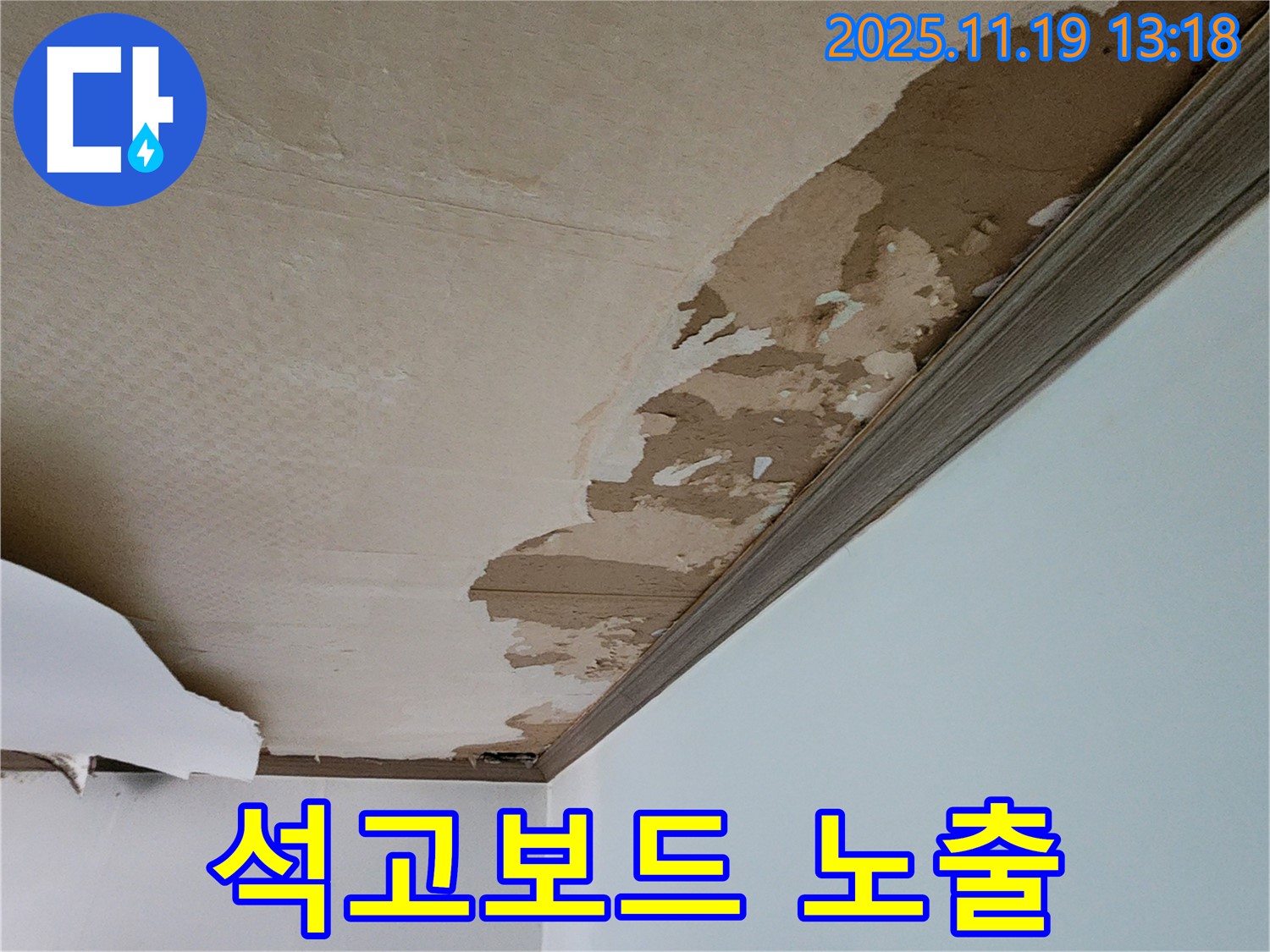 벽지 손상 - 석고보드까지 노출된 심각한 상태