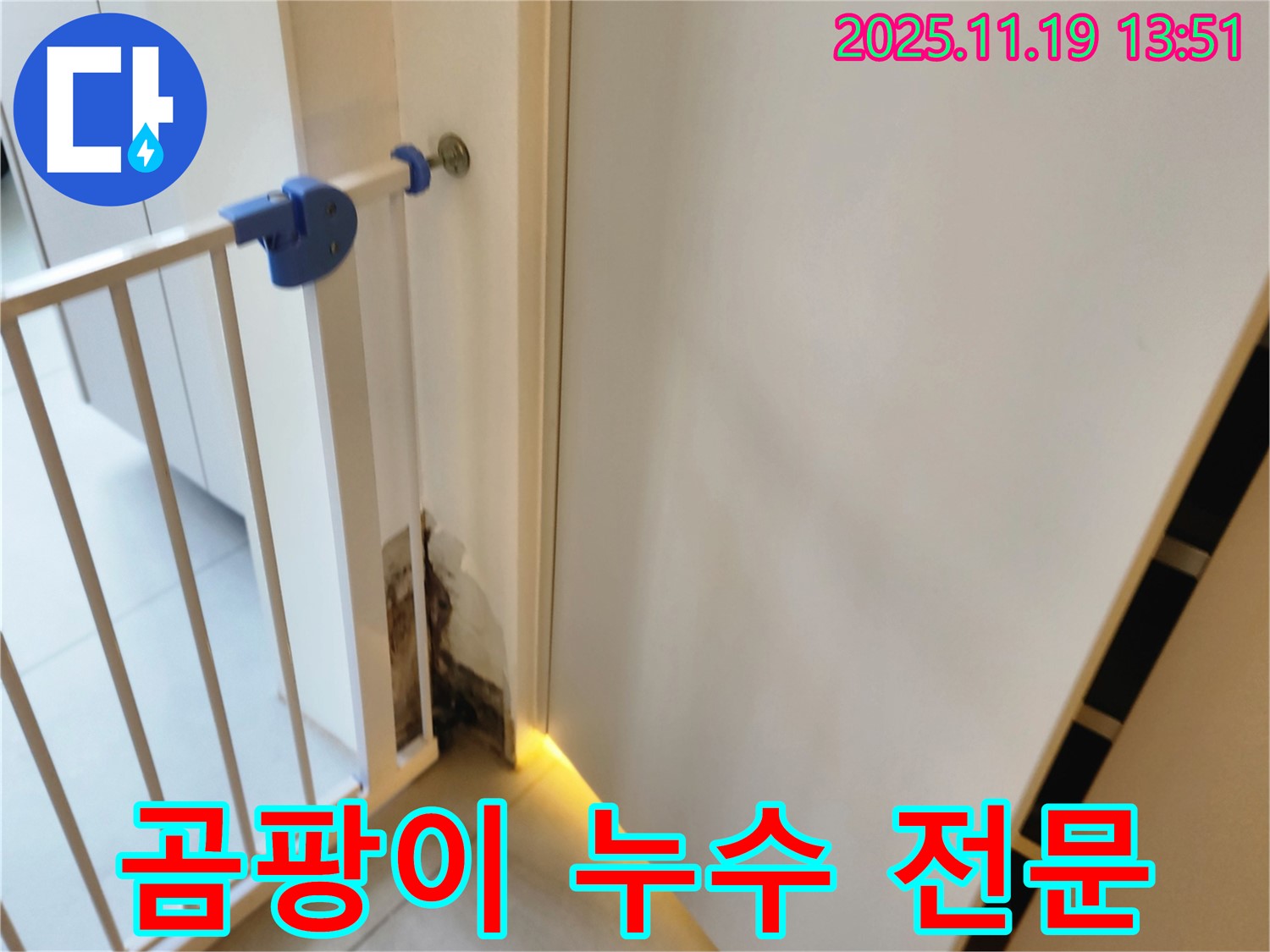 안전문 옆 곰팡이 누수 전문 - 누수 해결