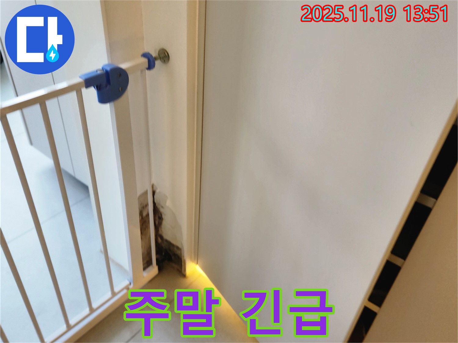 주말 긴급 누수 - 안전문 곰팡이 누수