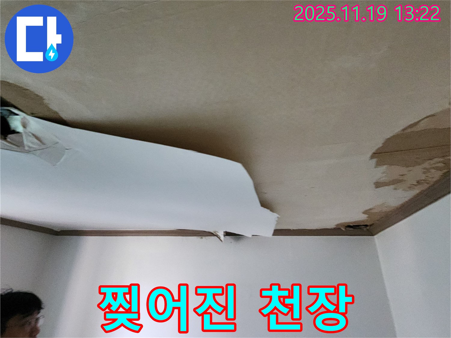 찢어진 천장 - 신속한 누수 탐지 및 완벽한 천장 보수 작업 진행