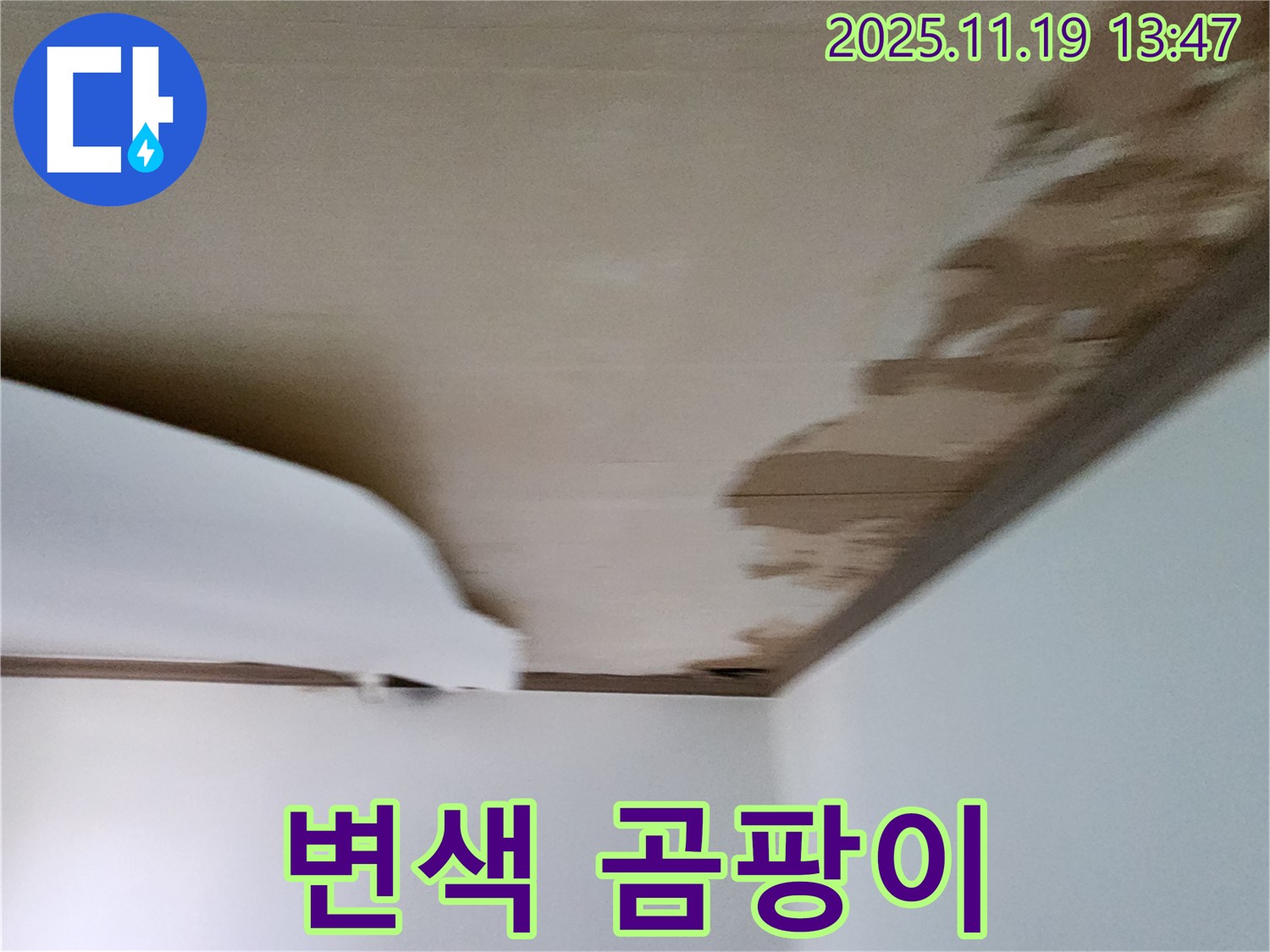 포천 내촌 천장 - 마감재 변색과 함께 곰팡이 번식