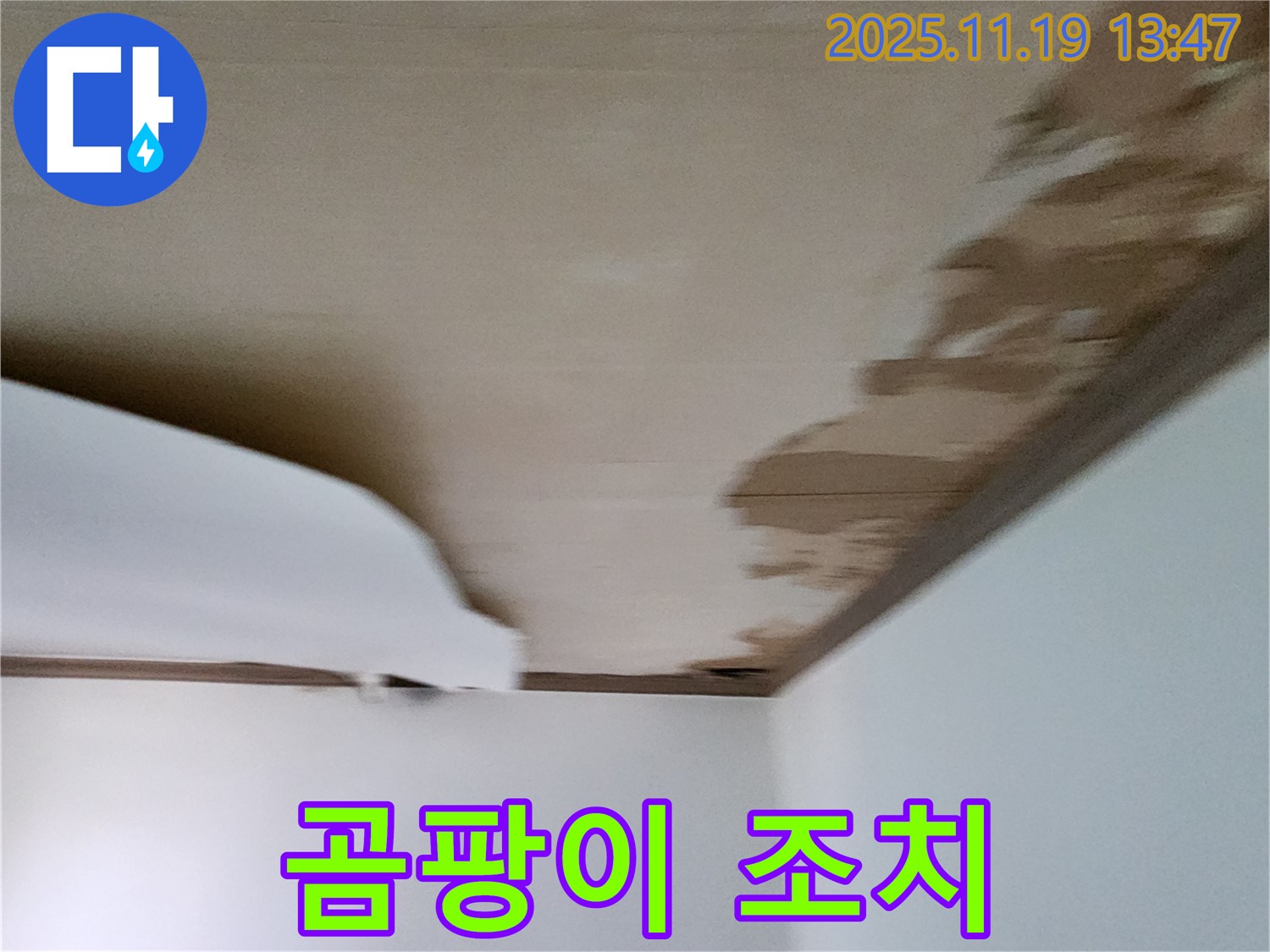 포천 내촌 천장 - 젖은 마감재와 함께 곰팡이 발생 긴급 조치