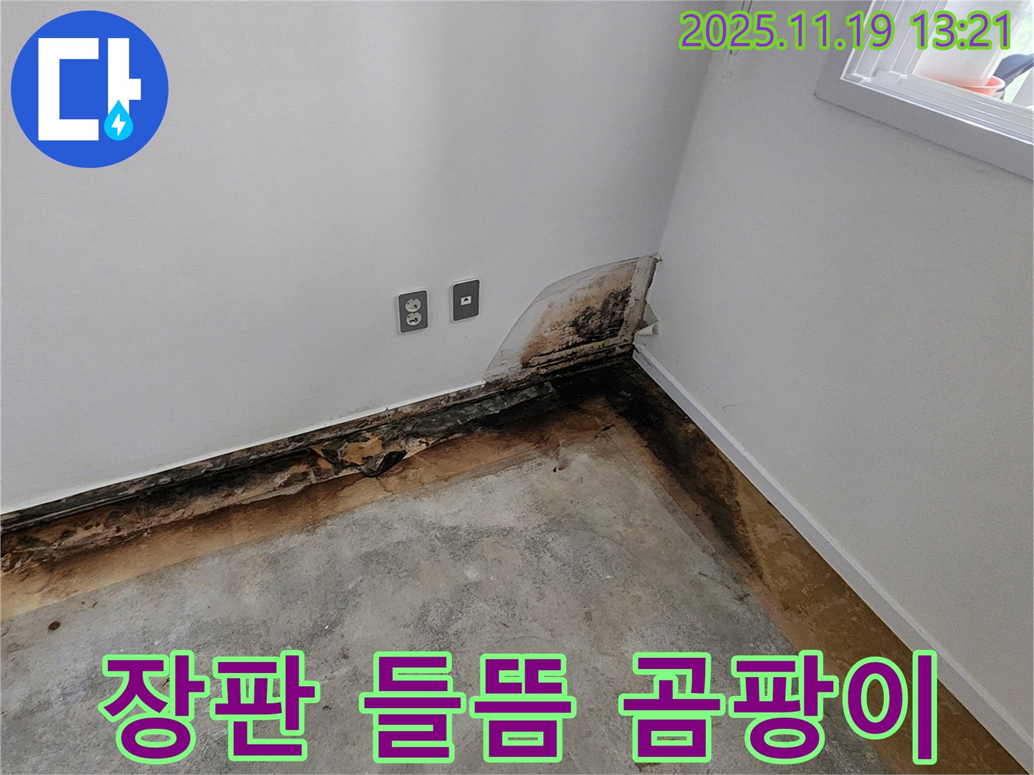포천 누수 - 장판 들뜸과 곰팡이, 숨겨진 누수 의심