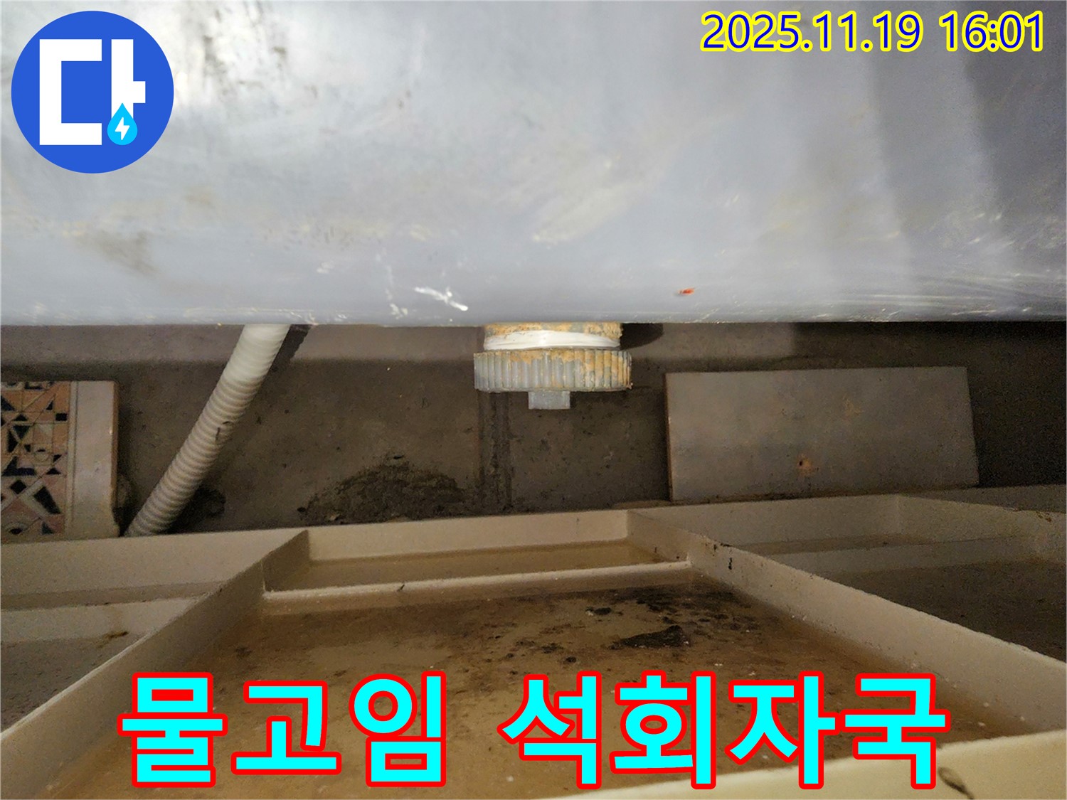 욕조 하부 누수 - 물 고임과 석회 자국은 지속적인 누수의 증거입니다.