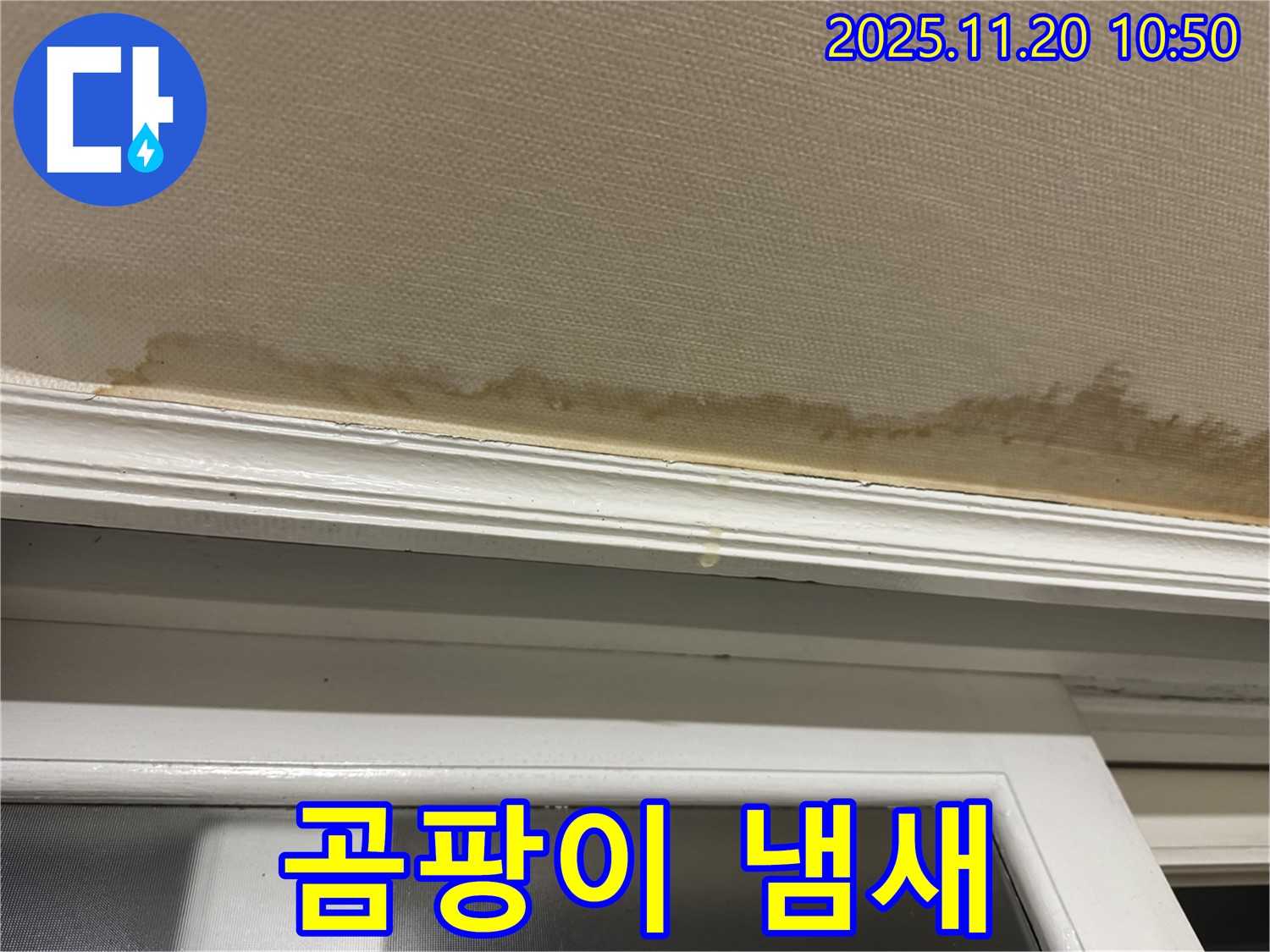 곰팡이 냄새 - 환기 불량 - 건강 악영향