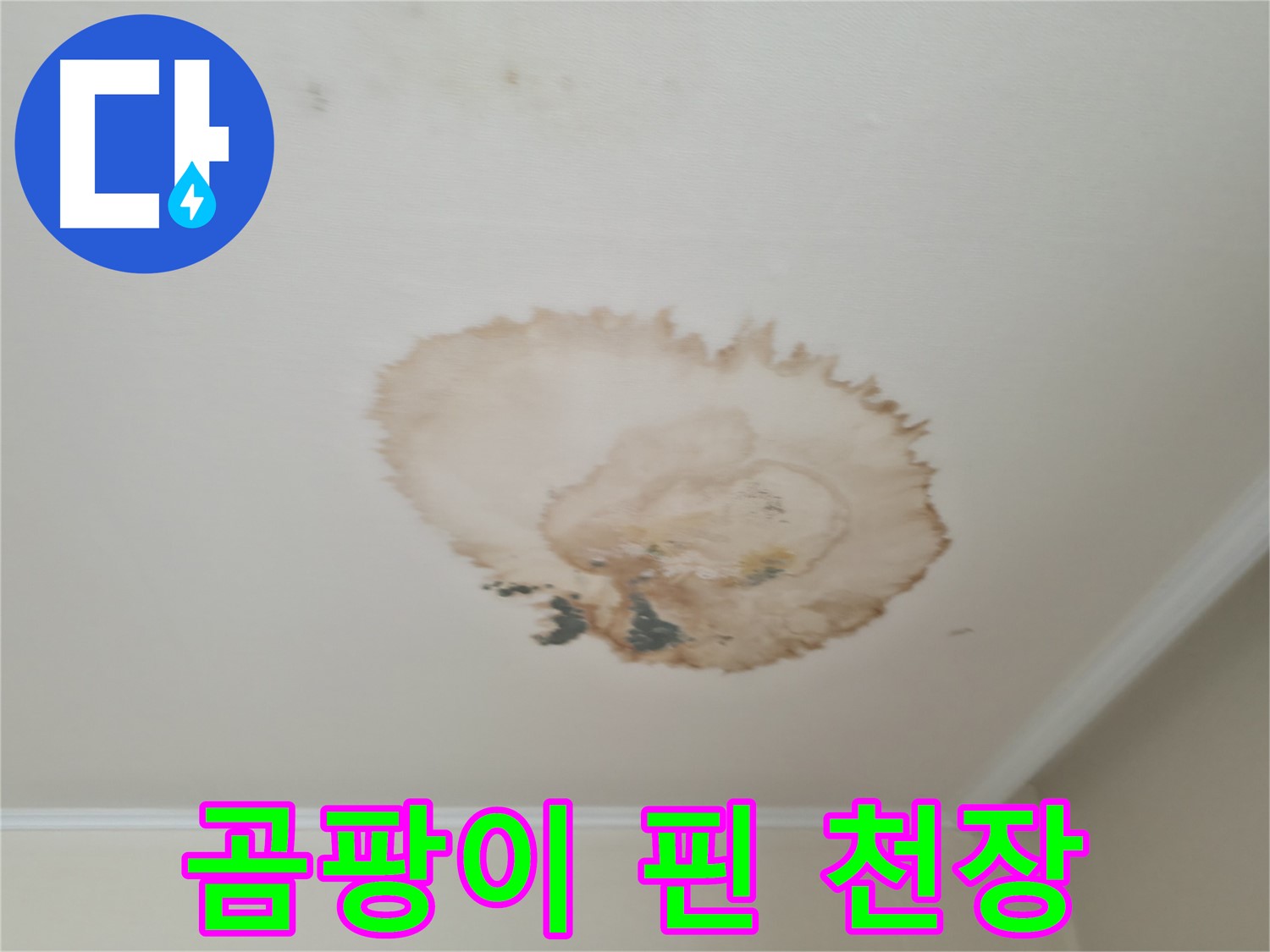곰팡이 핀 천장 - 누수 흔적 - 서대문구 누수탐지 및 제거