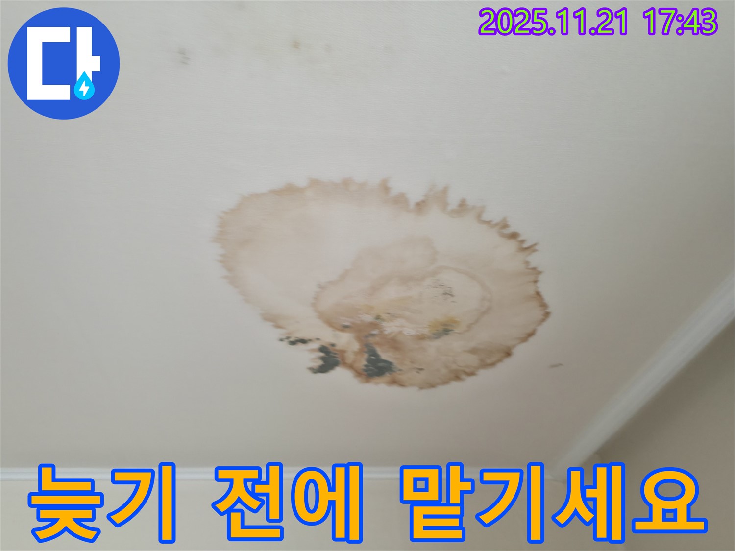 누수 - 늦기 전에 - 전문가에게 맡기세요
