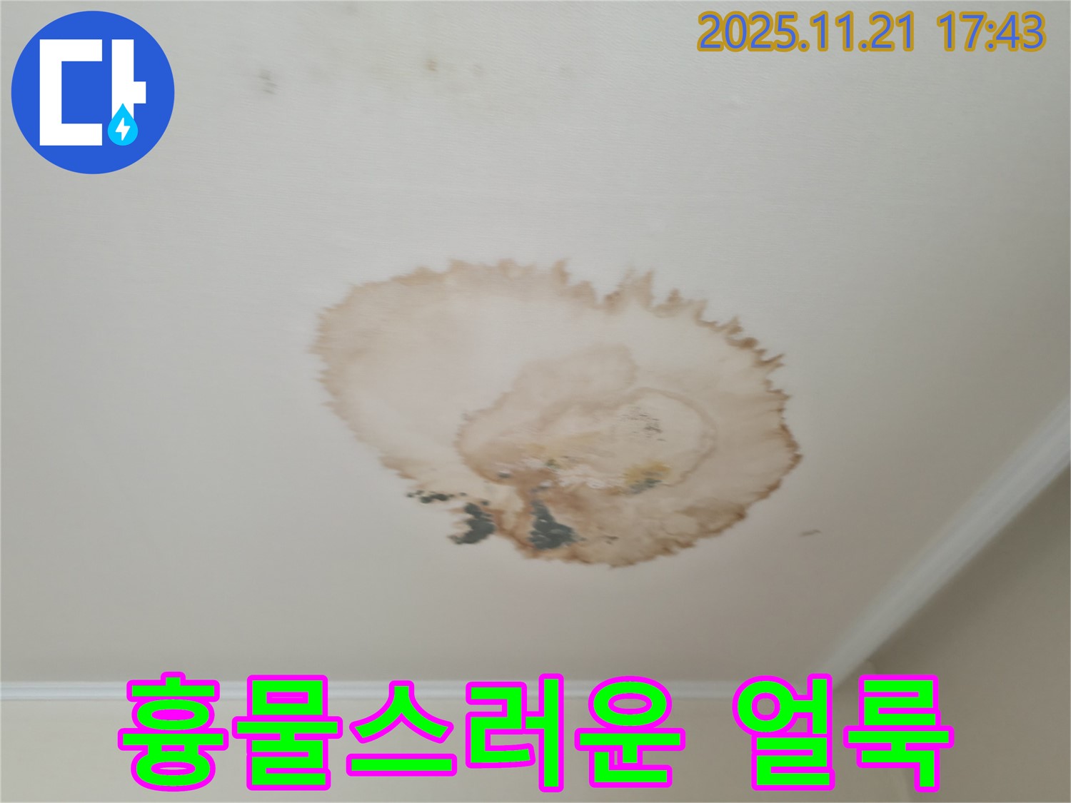 누수 얼룩 - 흉물스러운 모습 - 전문가의 손길