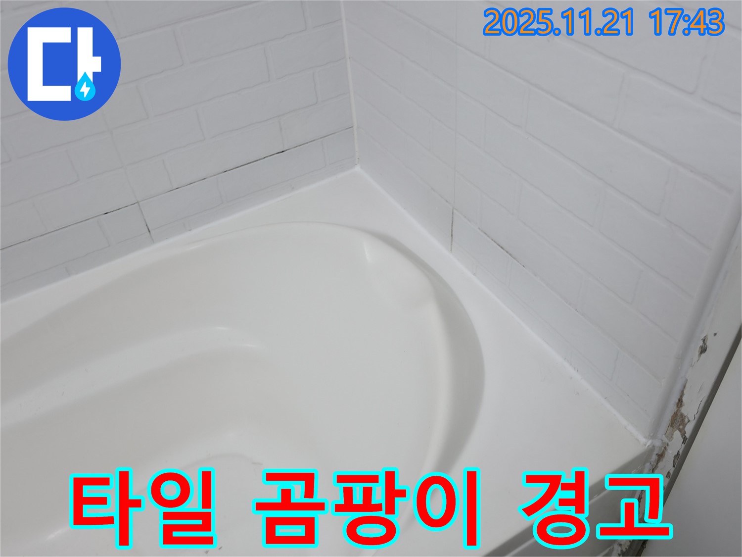 서대문구 세검정 욕조 - 곰팡이 슨 타일 틈새 - 누수 위험 경고