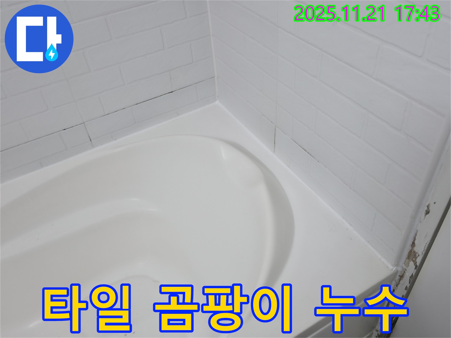 서대문구 세검정동 욕조 - 타일 틈새 곰팡이와 누수의 콜라보