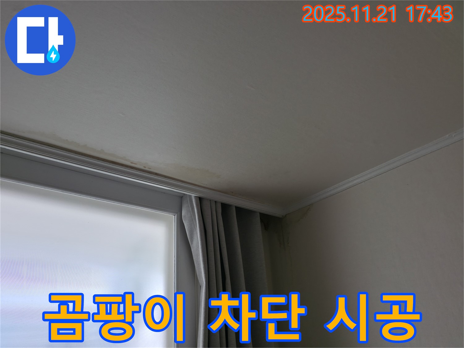 서대문구 창가 곰팡이 - 재발 방지 - 완벽 차단 시공