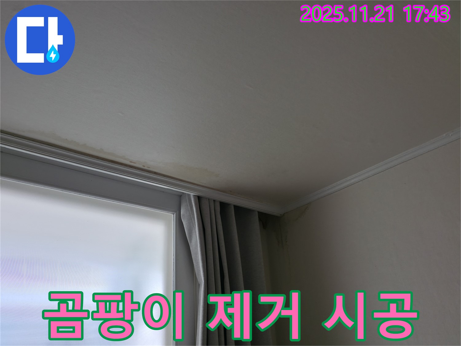 서대문구 창가 누수 - 곰팡이 - 완벽 제거 시공