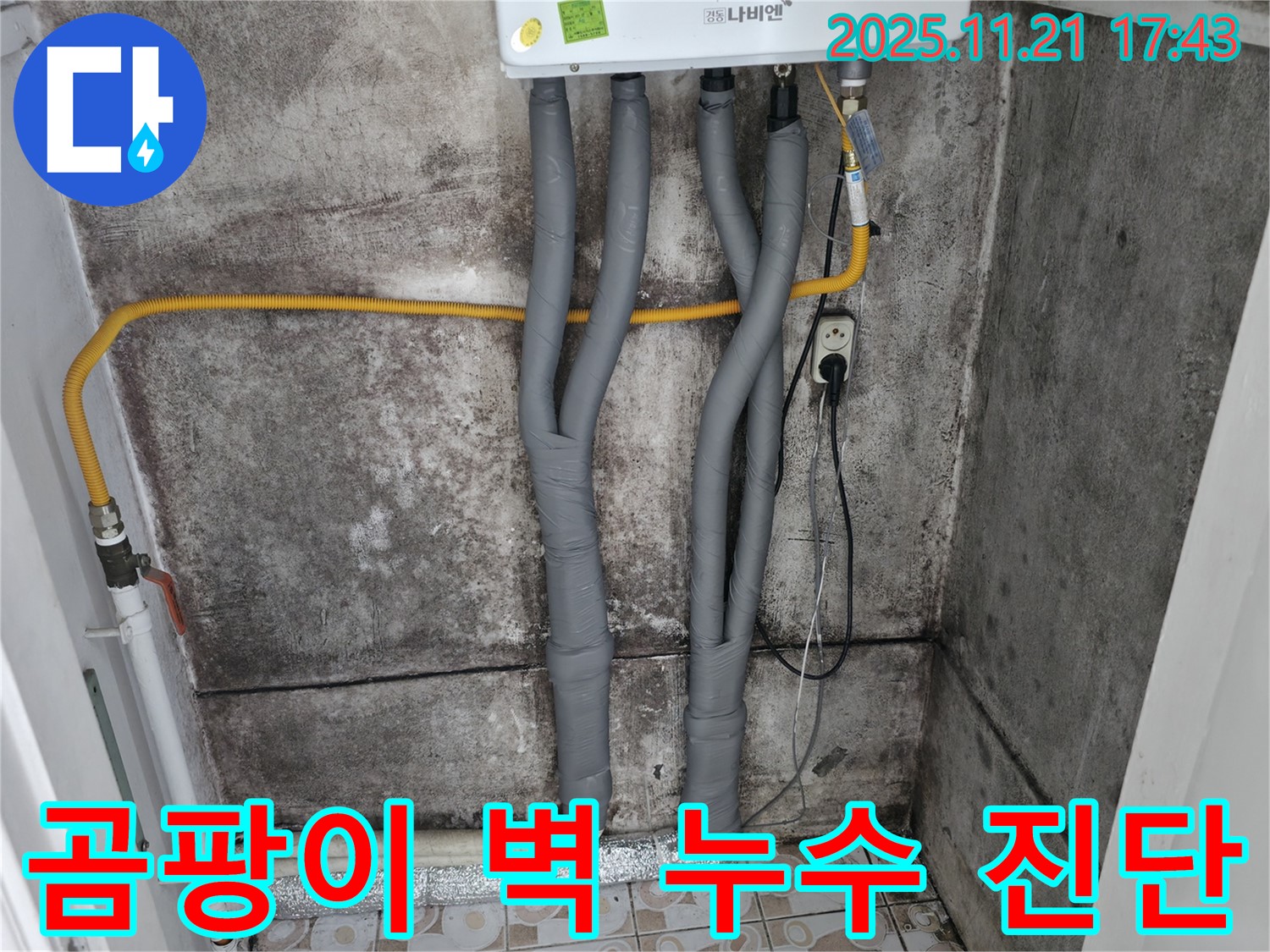 서대문구 홍제2동 곰팡이 - 누수 진단으로 해결