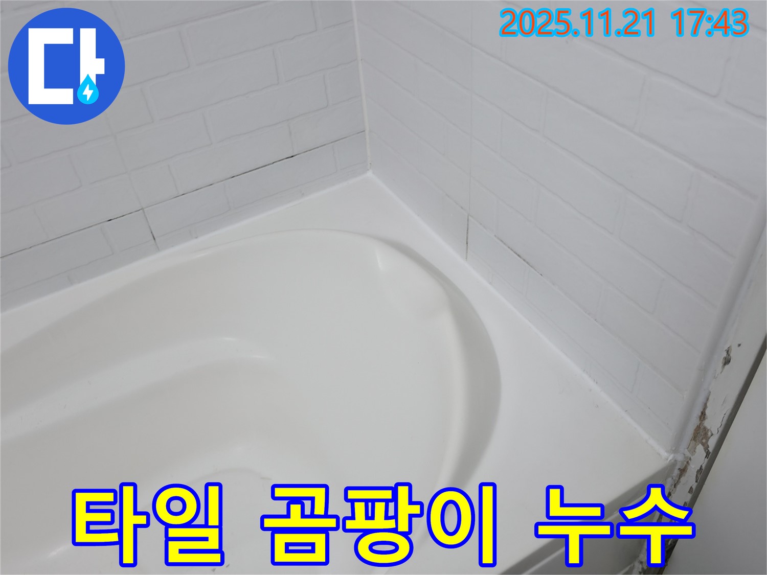 서대문구 홍제동 욕조 - 곰팡이 핀 타일 틈새 - 누수 가능성 매우 높음!