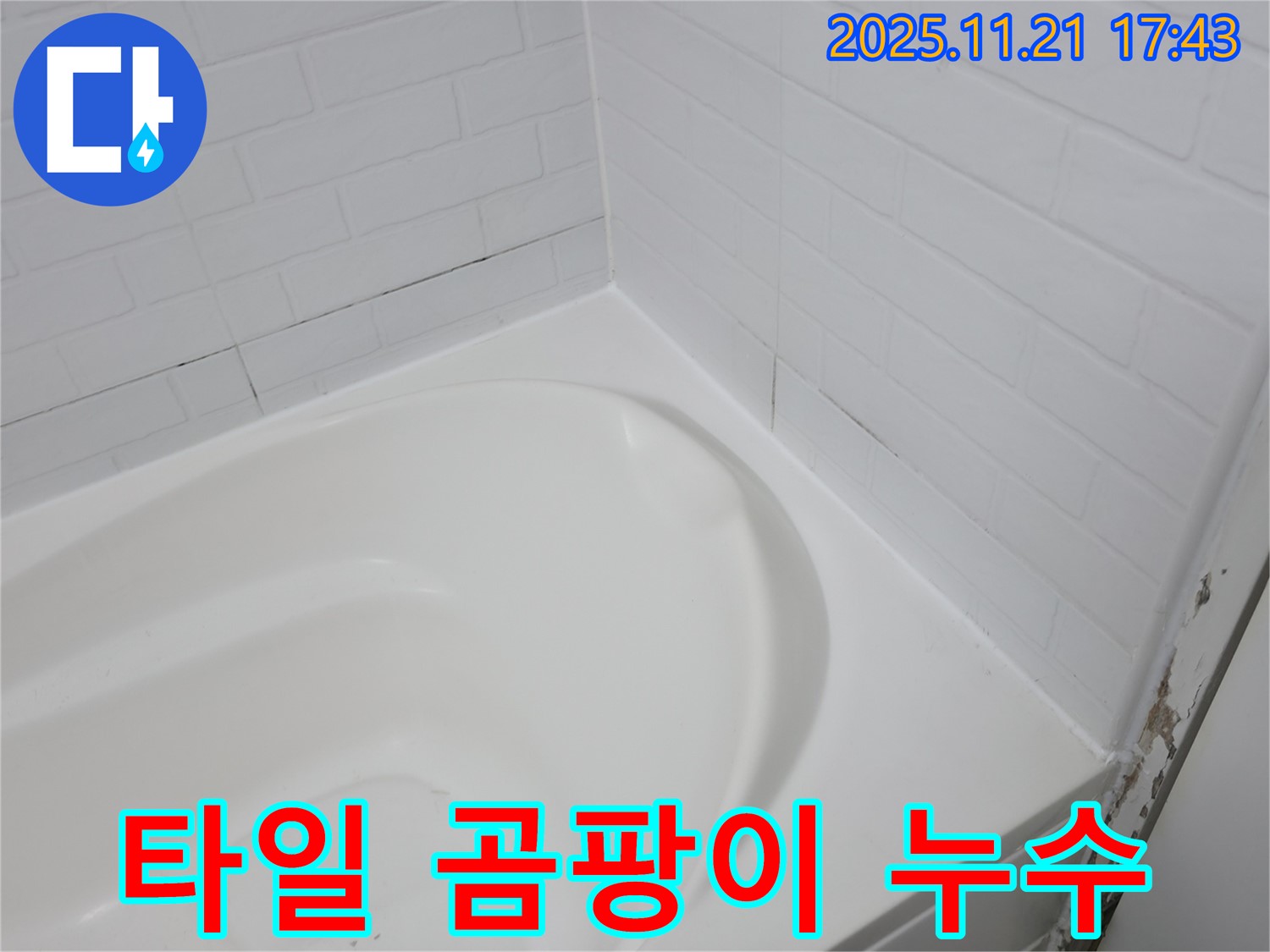 세검정 욕조 - 곰팡이 슨 타일 틈새 - 누수 가능성 높음
