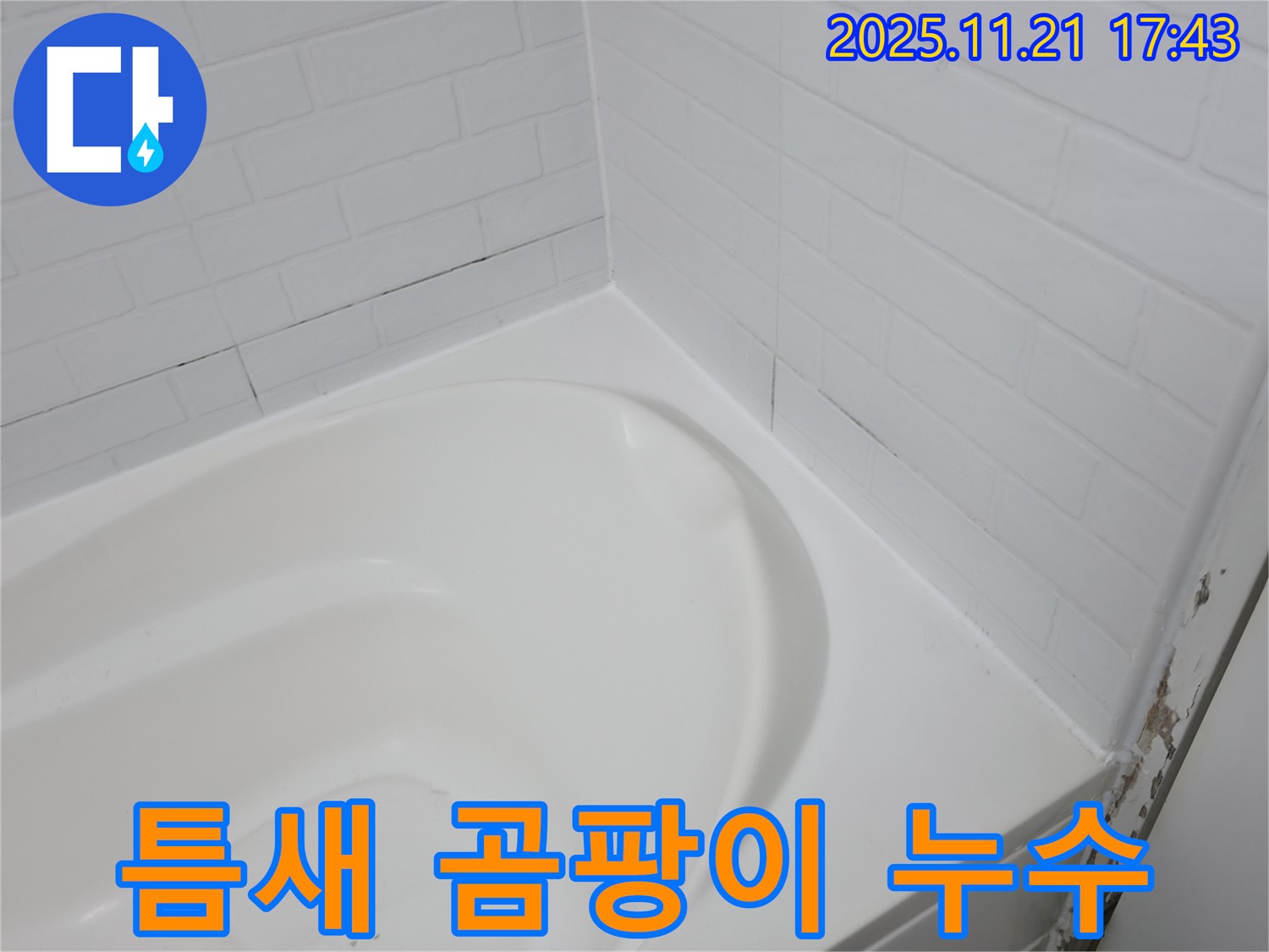 세검정 욕조 - 곰팡이와 함께 시작된 틈새 누수