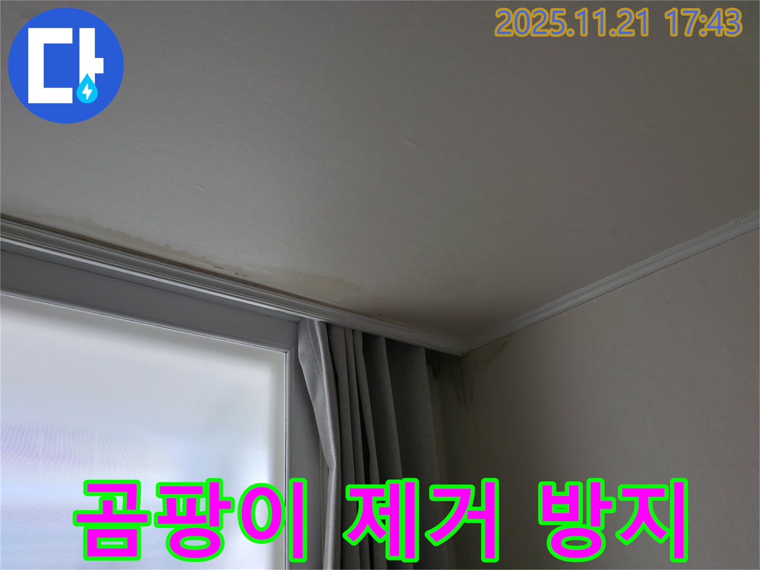 세검정 창가 곰팡이 - 완벽 제거 - 재발 방지 시공