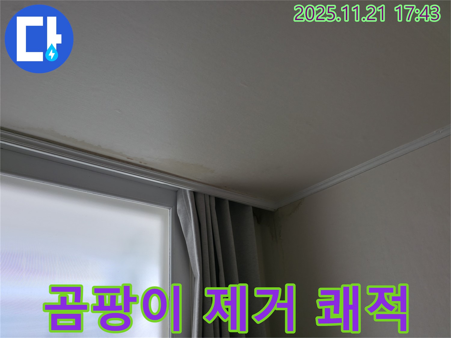 세검정 창가 곰팡이 - 완벽 제거 - 쾌적한 공간