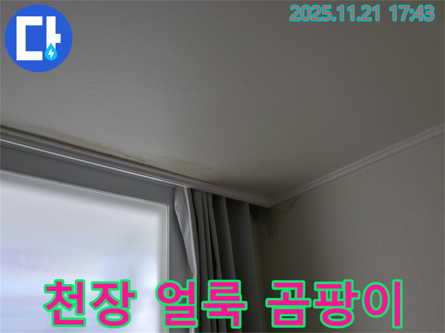 세검정 천장 누수 - 얼룩 - 곰팡이 냄새 - 건강 적신호