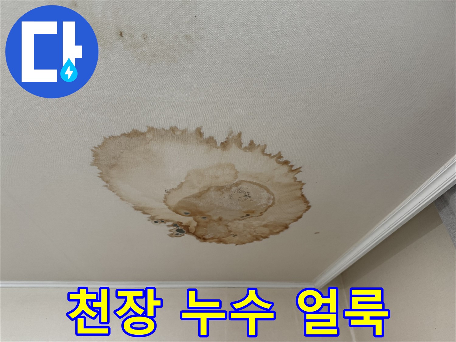 세검정 천장 누수 - 천장에 넓게 퍼진 누수 얼룩
