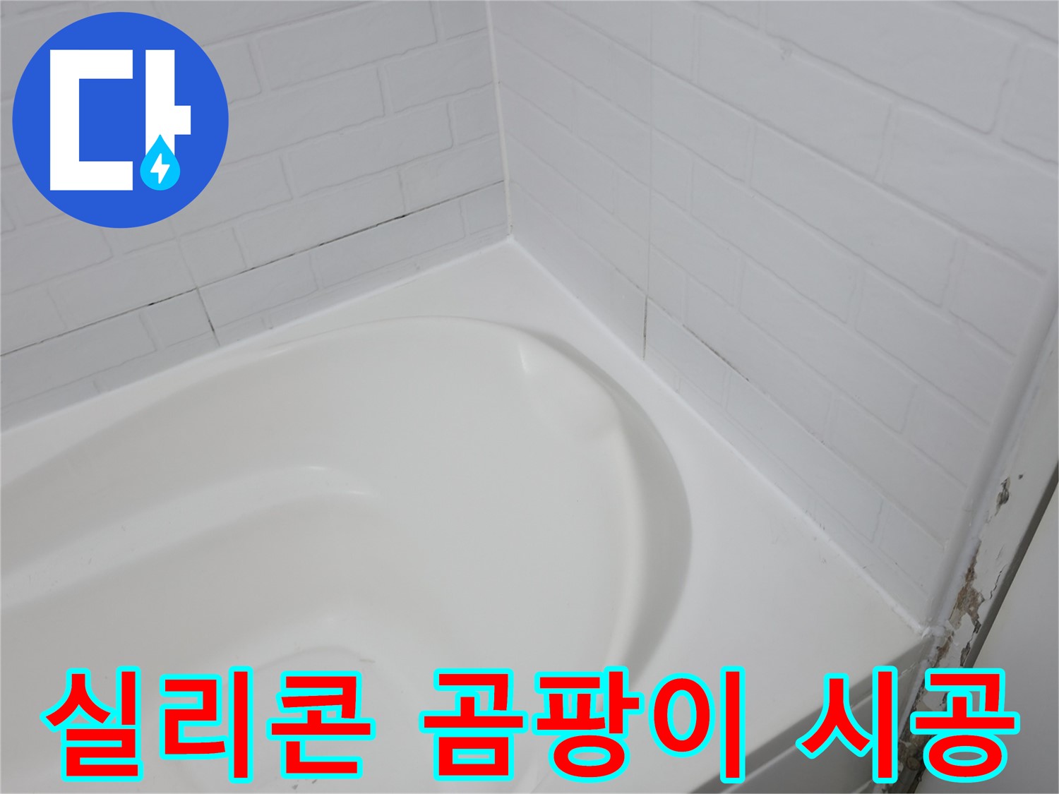 실리콘 - 곰팡이 OUT