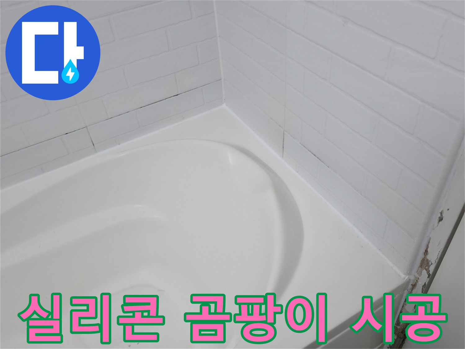 실리콘 - 곰팡이 OUT