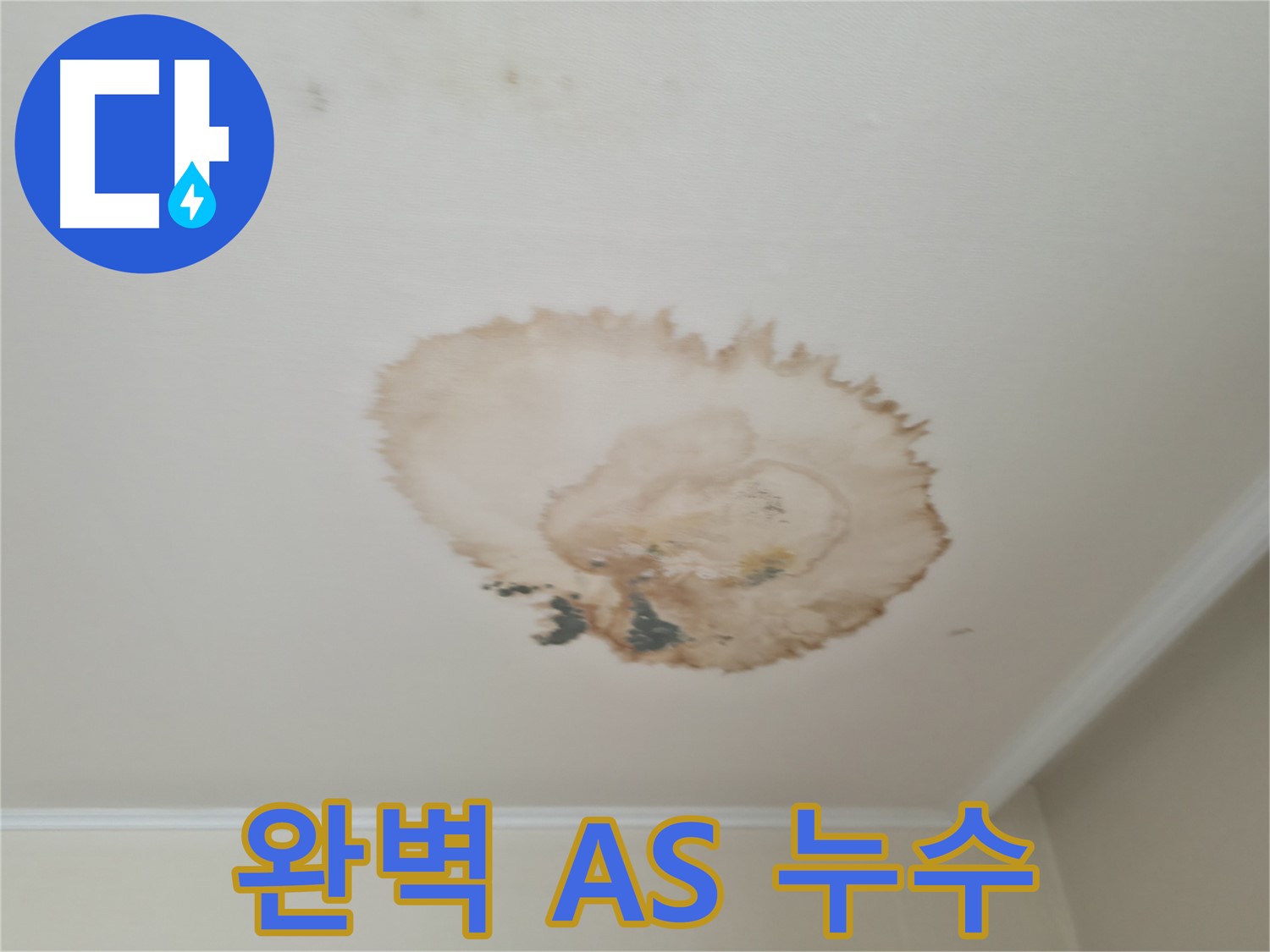 완벽한 A/S - 누수 걱정 끝 - 서대문구 누수