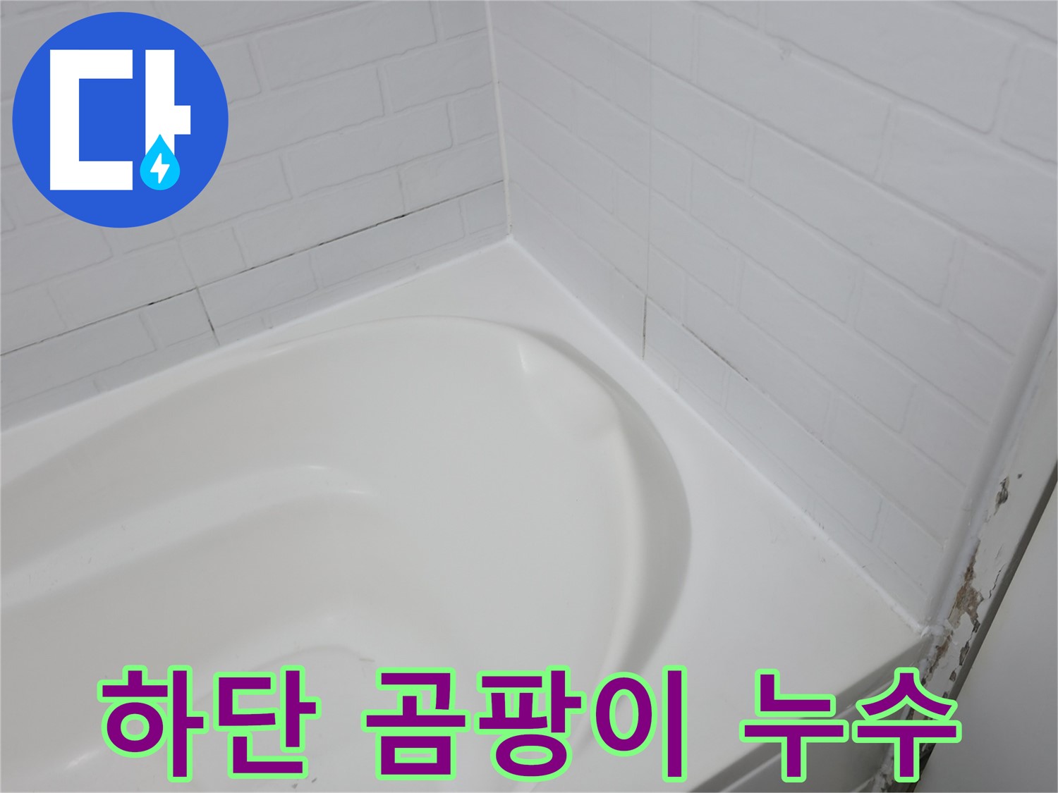 욕조 하단 - 곰팡이와 누수의 콜라보