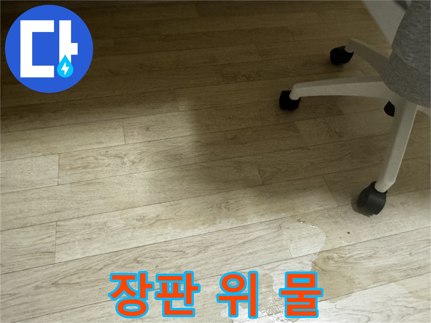 장판 위에 흥건하게 고인 물 - 누수가 심각한 상태임을 나타냅니다.