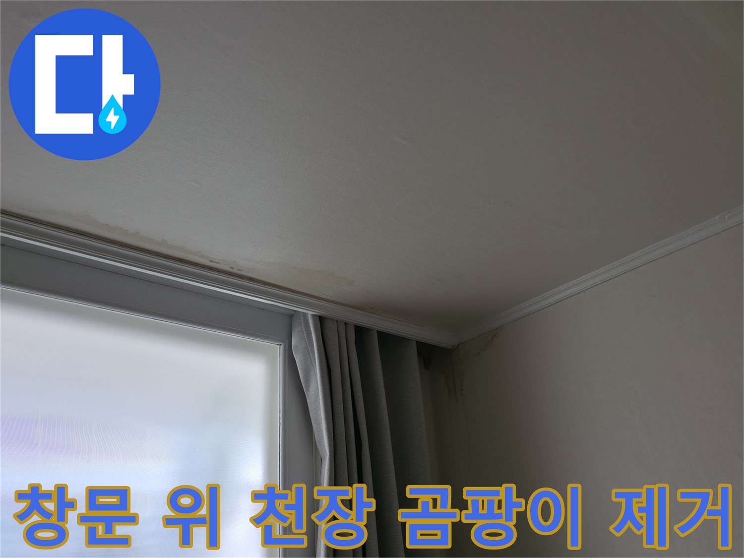 창문 위 천장 곰팡이 - 곰팡이 제거 및 재발 방지 시공