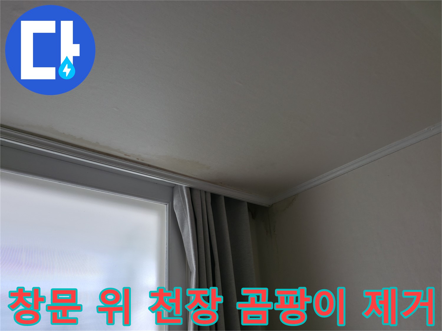 창문 위 천장 곰팡이 - 곰팡이 제거 및 쾌적한 환경 조성