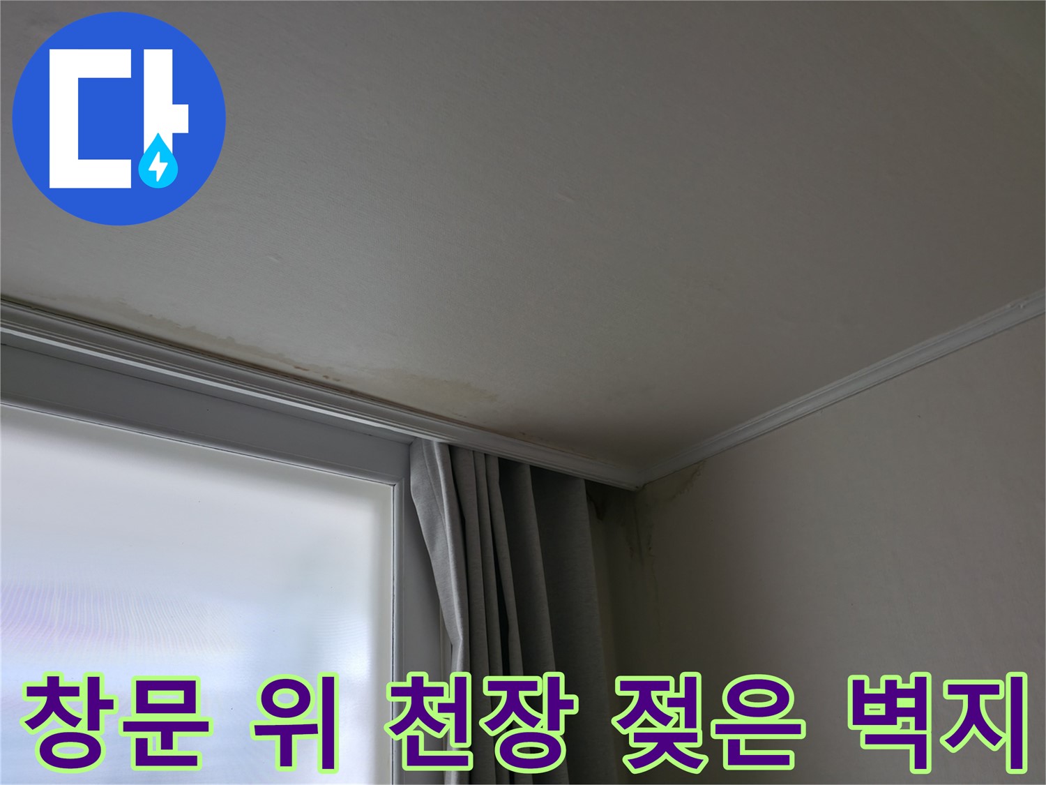 창문 위 천장 젖은 벽지 - 누수 해결 전문가