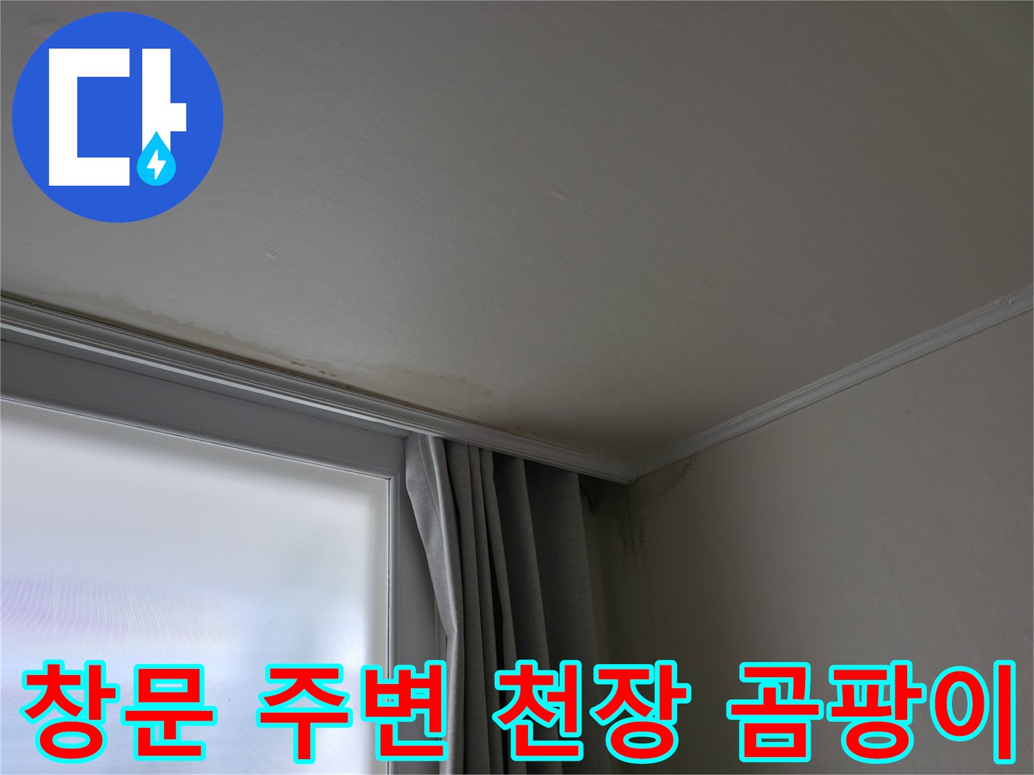 창문 주변 천장 곰팡이 - 누수 원인 해결 전문