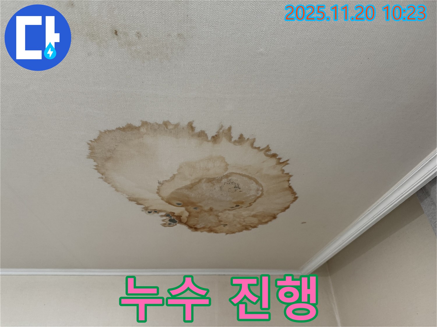 천장 누수 진행 - 지속적 피해 - 곰팡이 위험 - 건물 안전 위협