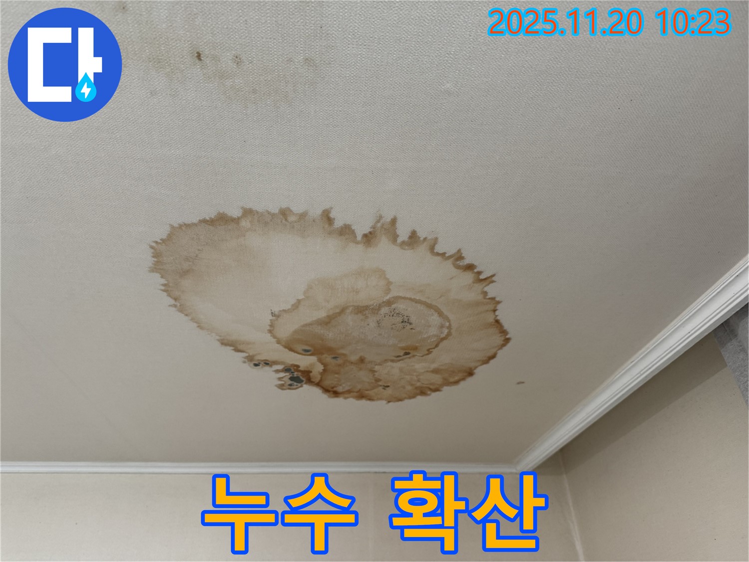 천장 누수 확산 - 곰팡이 위험 증가 - 건물 손상 우려 - 신속 점검 필요